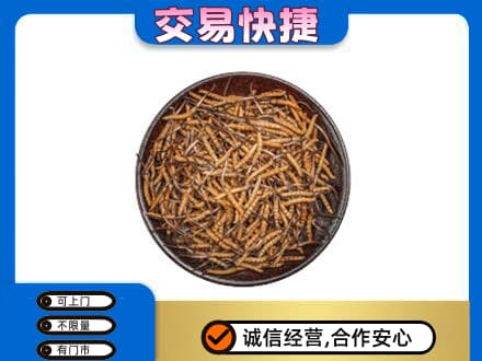 会同县高价回收散虫草