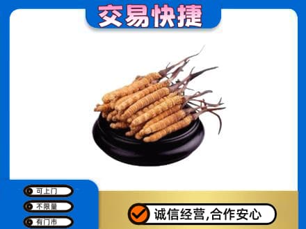 会同县高价回收冬虫夏草多少钱每克